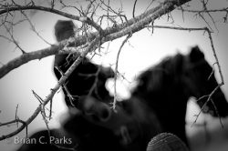 20110305__DSC6589