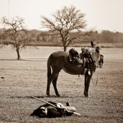 20110305__DSC6609
