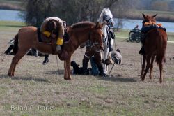 20110305__DSC6610