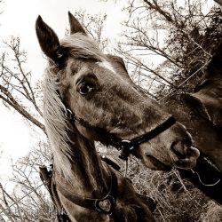 20110305__DSC6638