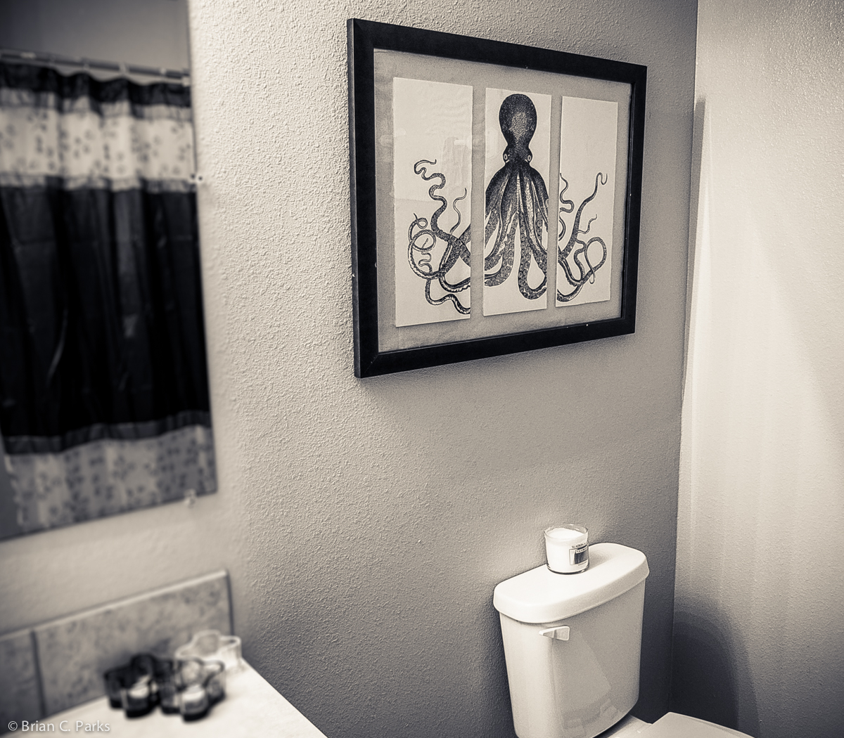My completed Lord Bodner's octopus triptych hanging in the guest bathroom.