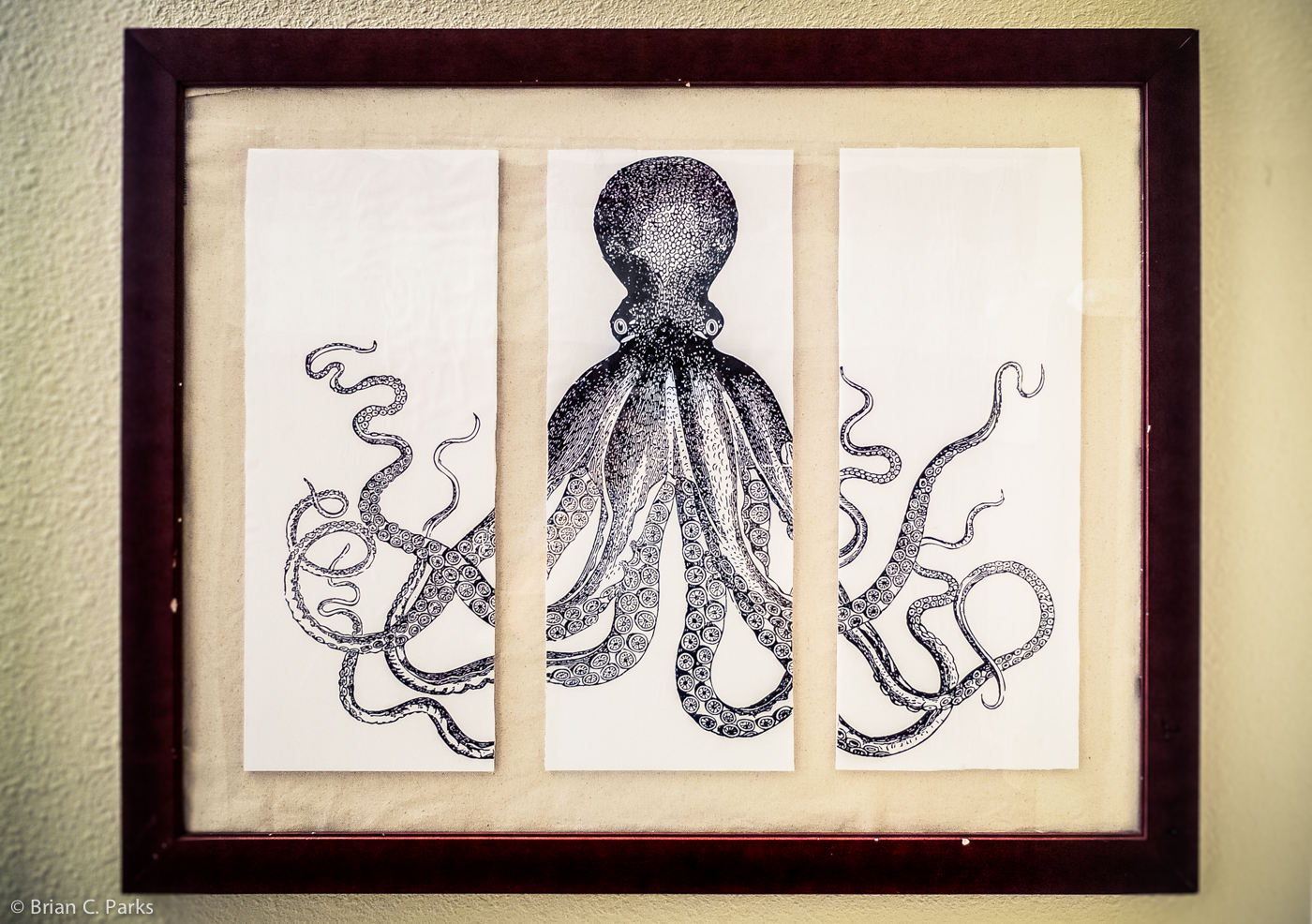 My completed Lord Bodner's octopus triptych.