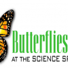 Butterflies Alive! at the Science Spectrum